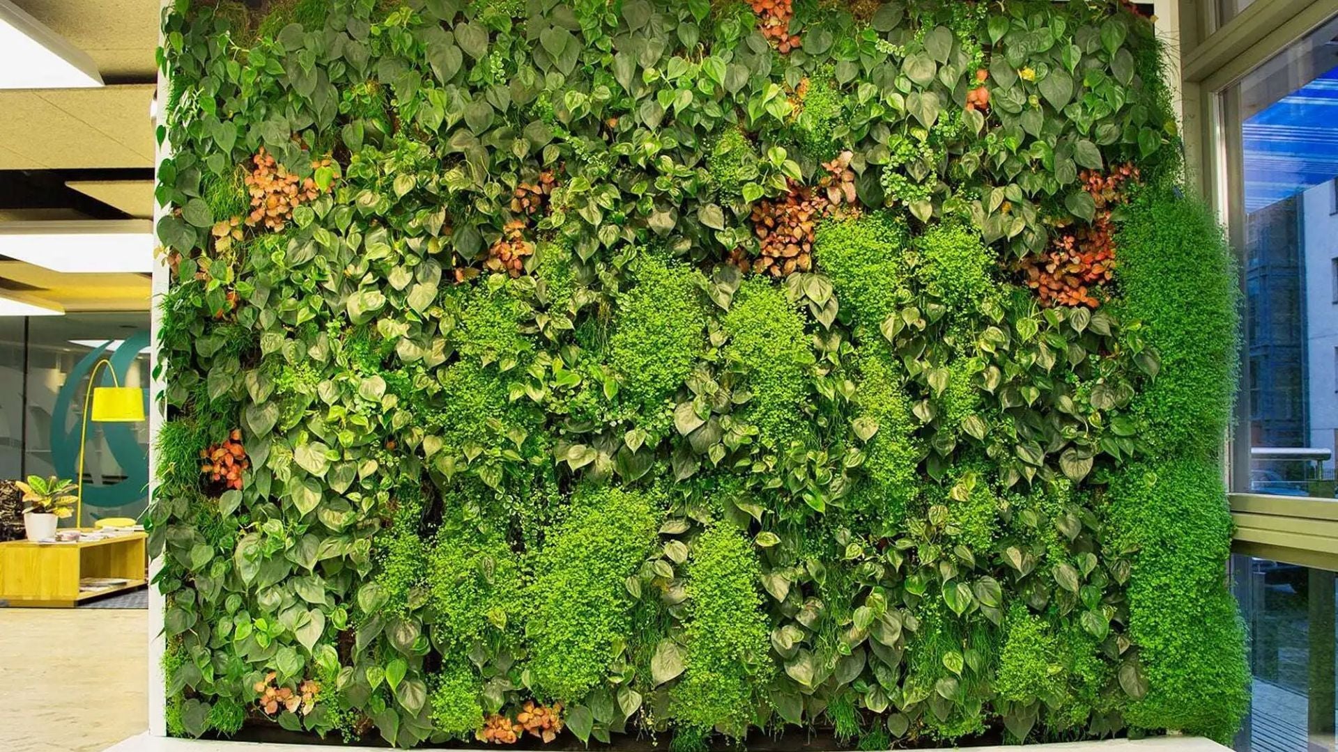 Arе You Looking for in a Grееn Wall Suppliеr in UAE