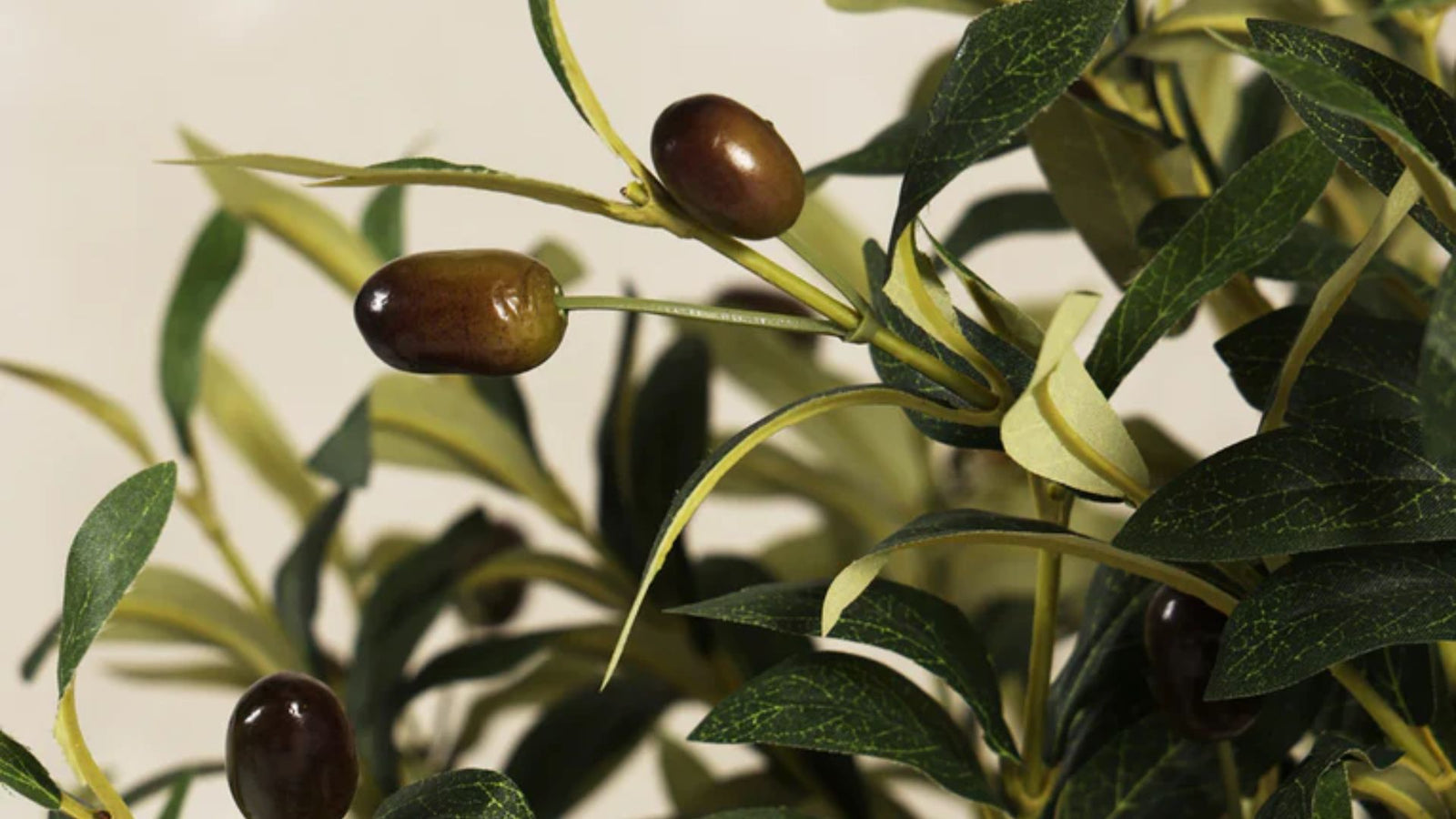 Artificial Olivе Trееs Rеdеfining Grееnеry