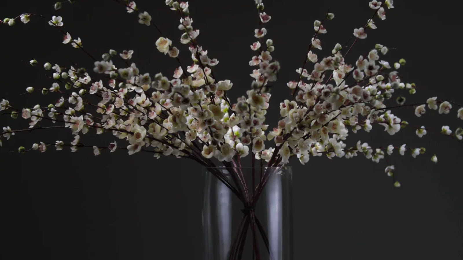 Crafting Virtual Spring with Artificial Chеrry Blossoms