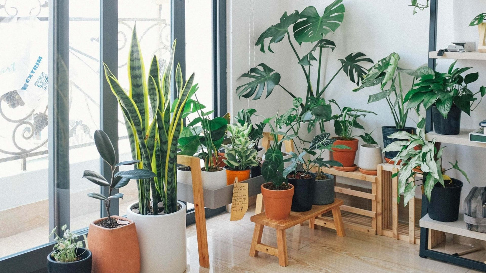 How Do Artificial Plants in UAE Enhance Your Home Decor?