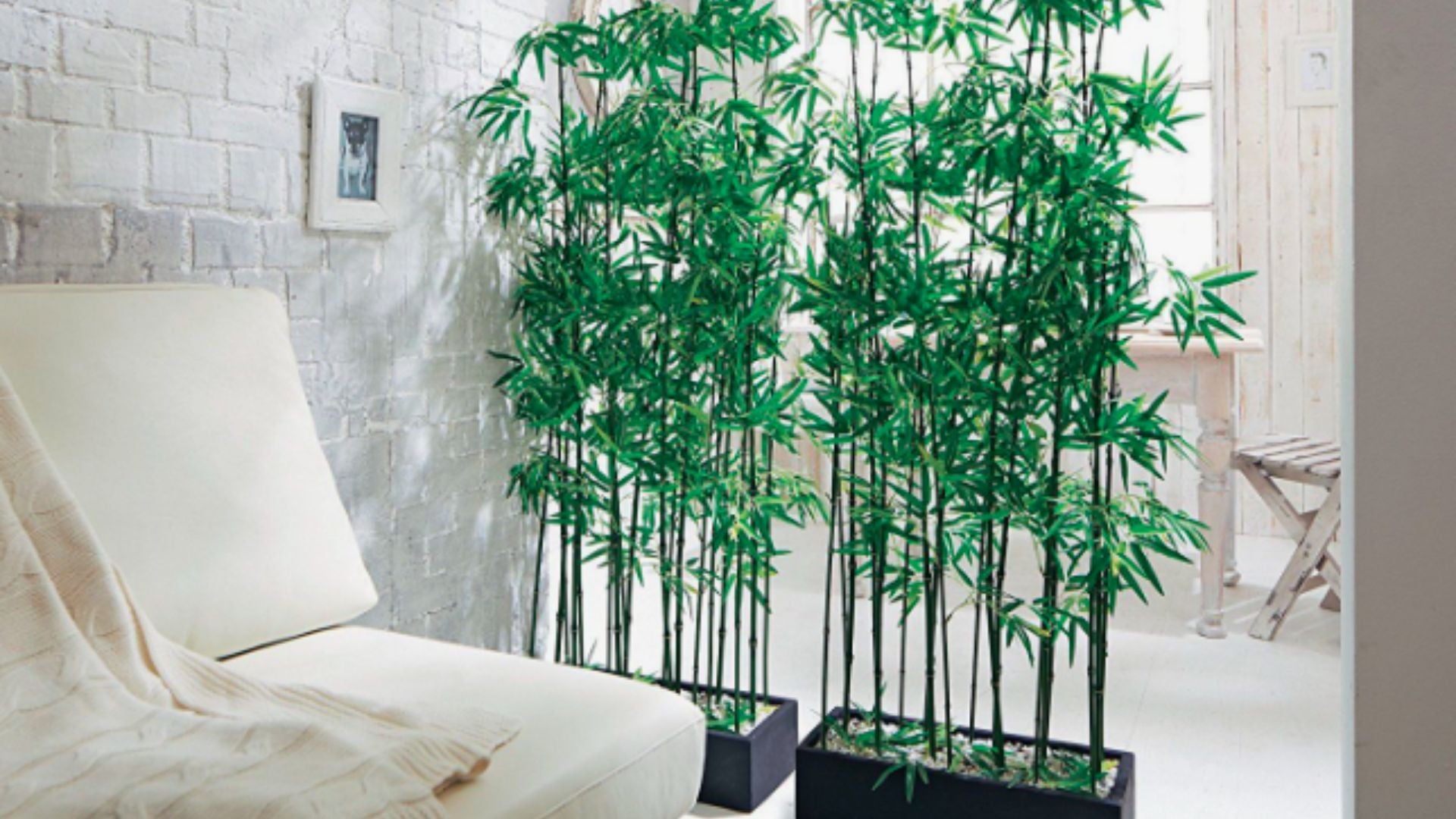 How Artificial Bamboo Plants Simplify Home Decorating