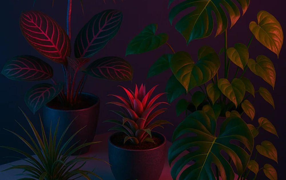 How Do Artificial Plants in UAE Enhance Your Home Decor?