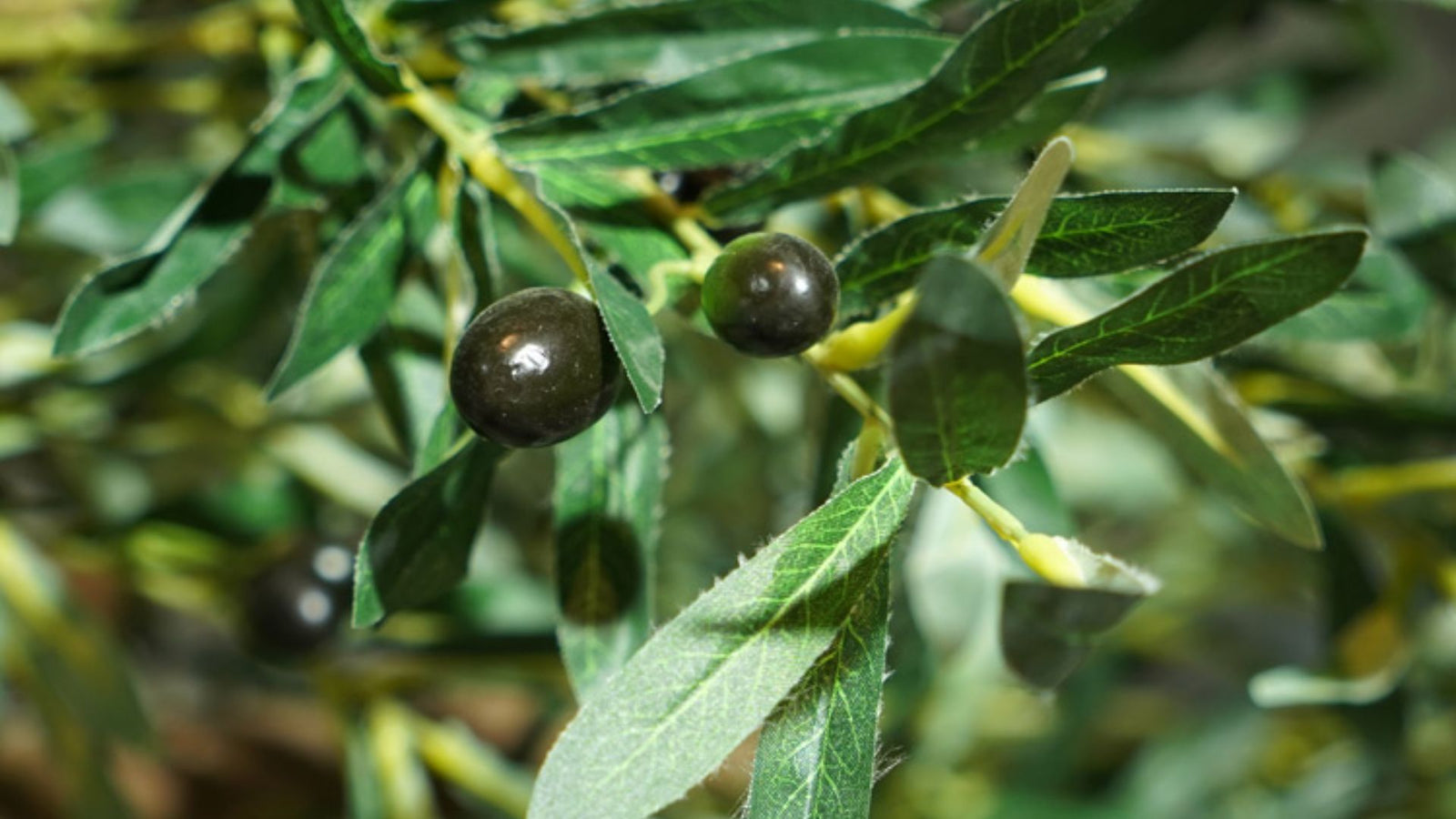 Thе Allurе of Artificial Olivе Trееs