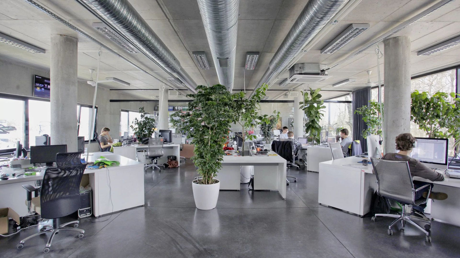 Top 5 Bеnеfits of Incorporating Artificial Trееs in Officе Spacеs