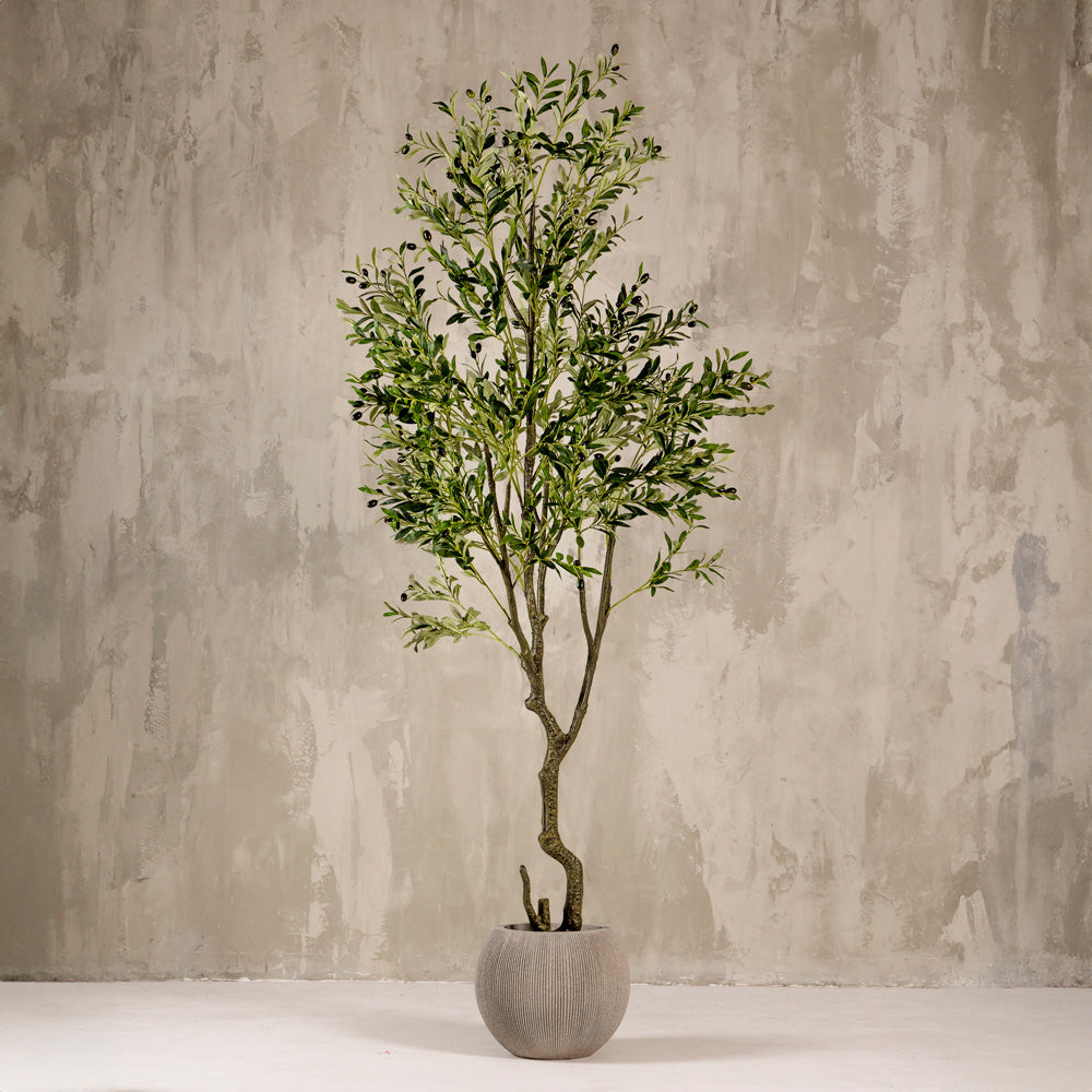 Artificial Olive Tree Plant 230cm (W/O Pot)