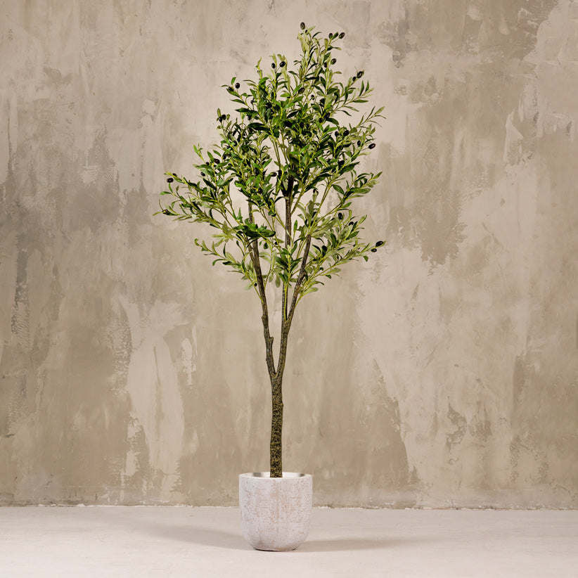 Artificial Olive Tree Plant 180cm (W/O Pot)