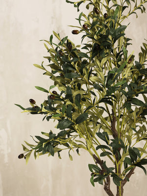 Artificial Olive Tree Plant 230cm (W/O Pot)