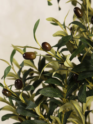 Artificial Olive Tree Plant 120cm (W/O Pot)