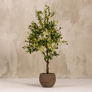 Artificial Olive Tree Plant 120cm (W/O Pot)