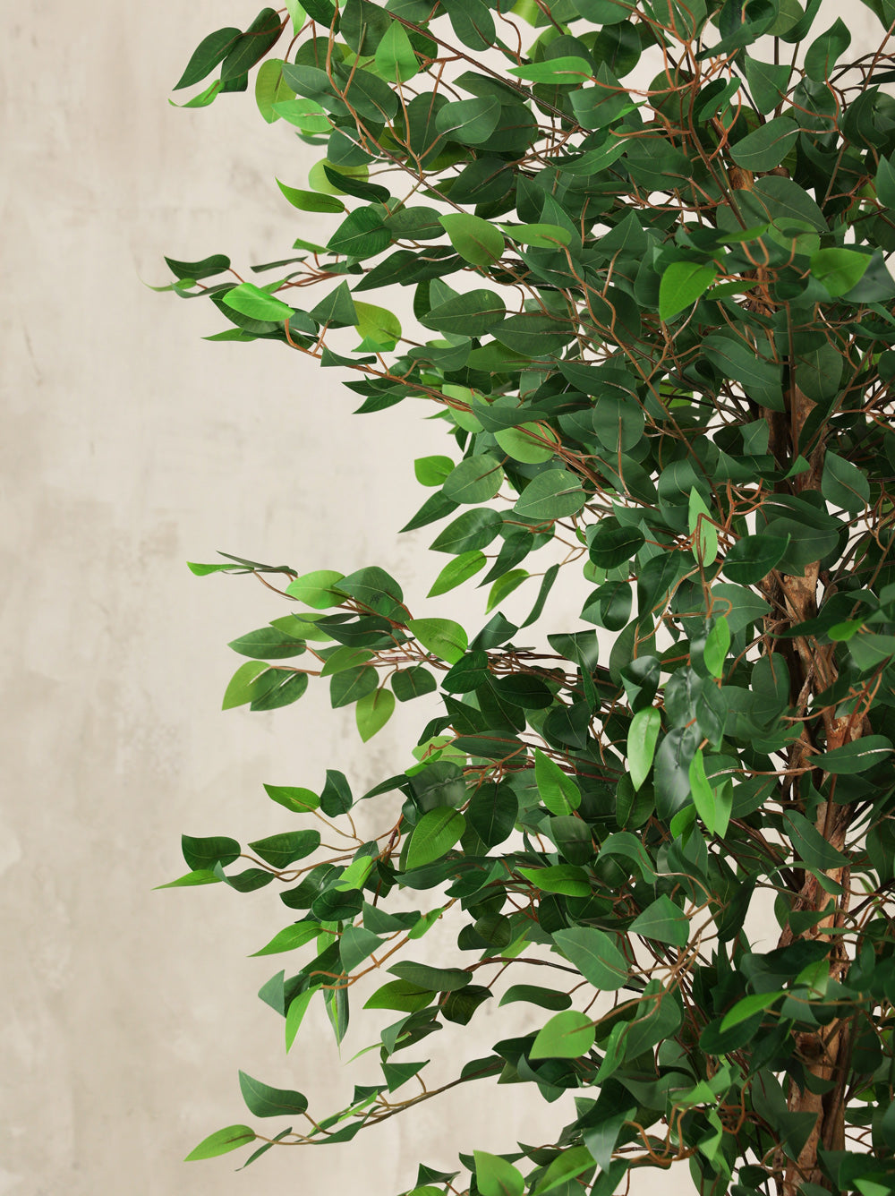 Artificial Ficus Tree Plant 210cm (W/O Pot)