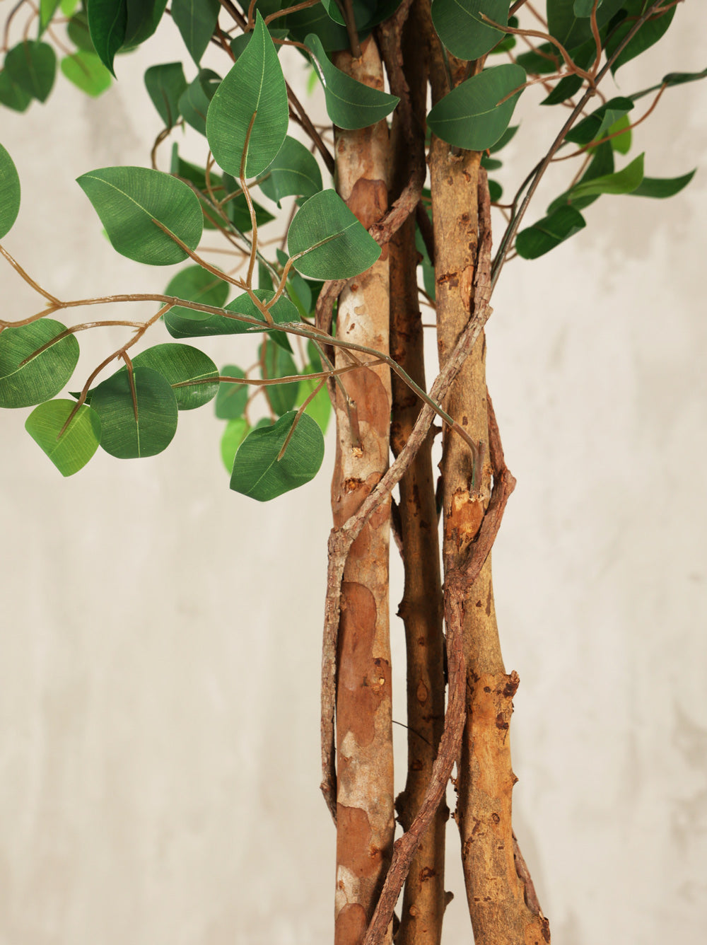 Artificial Ficus Tree Plant 210cm (W/O Pot)