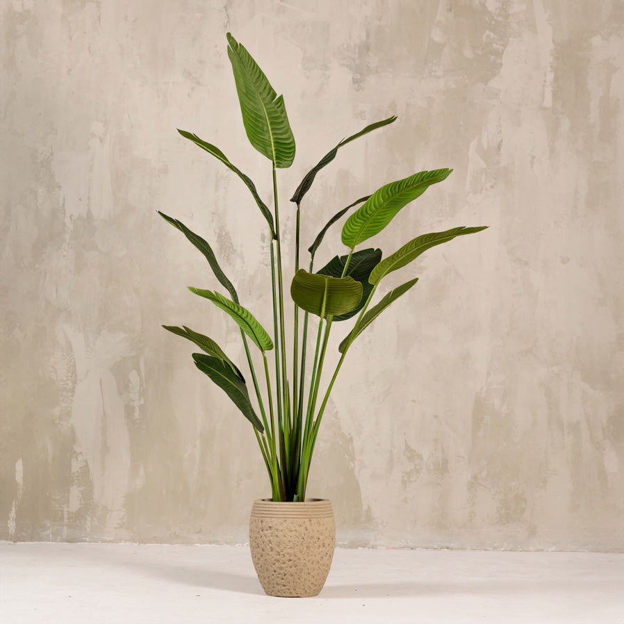 Artificial Strelitzia Tree Plant 180cm (W/O Pot)