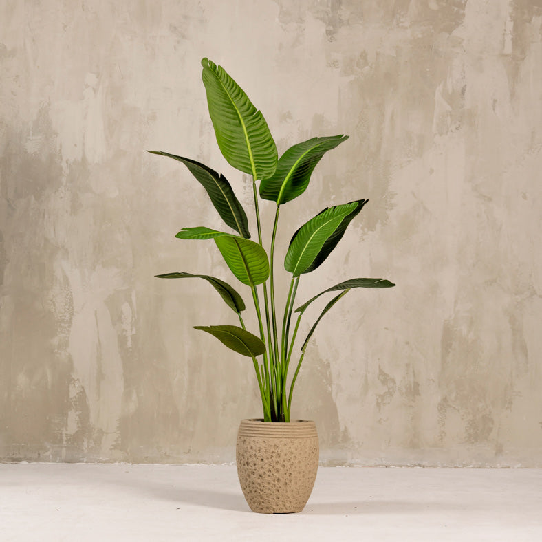 Artificial Strelitzia Tree Plant 160cm (W/O Pot)