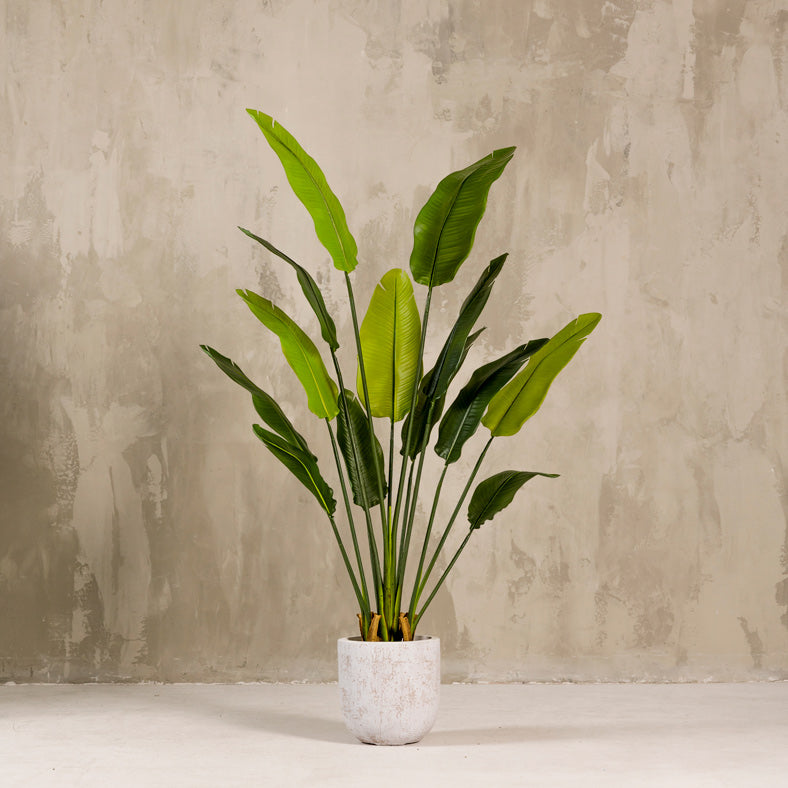 Artificial Paradise Tree Plant 160cm (W/O Pot)