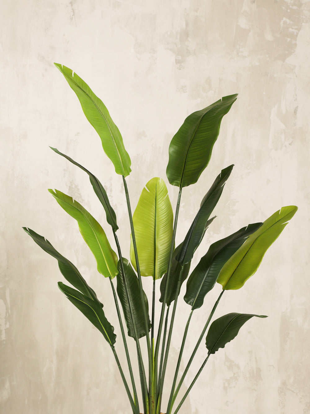 Artificial Paradise Tree Plant 180cm (W/O Pot)