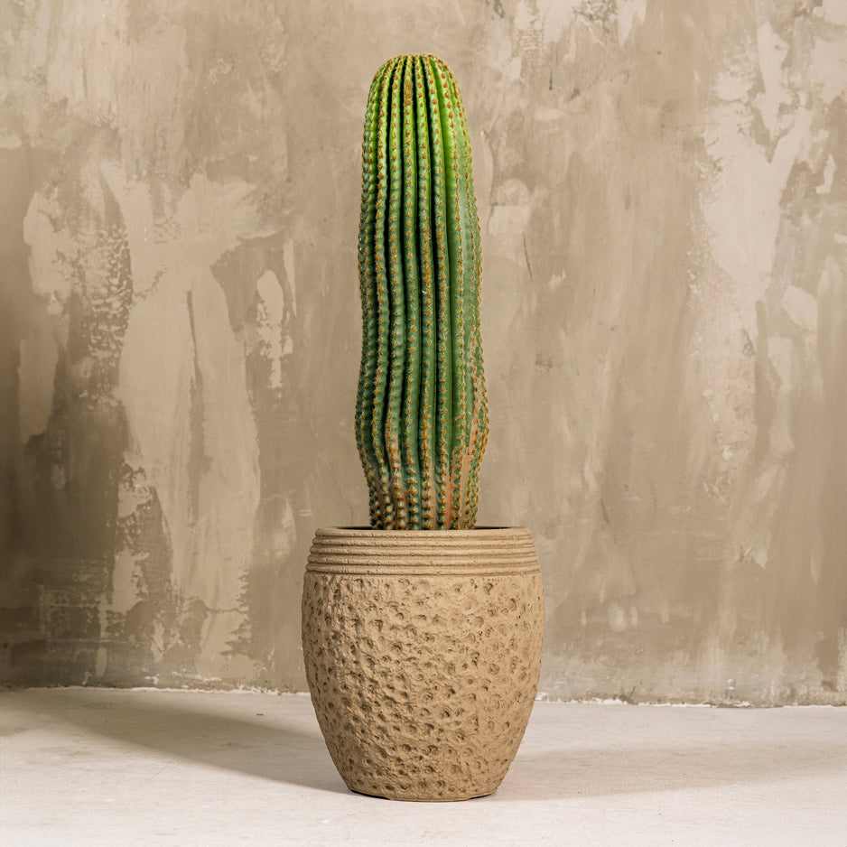 Artificial Cactus Single Plant 70cm (W/O Pot)