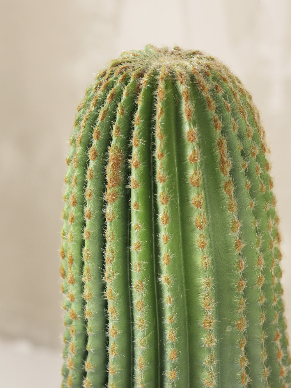 Artificial Cactus Single Plant 70cm (W/O Pot)