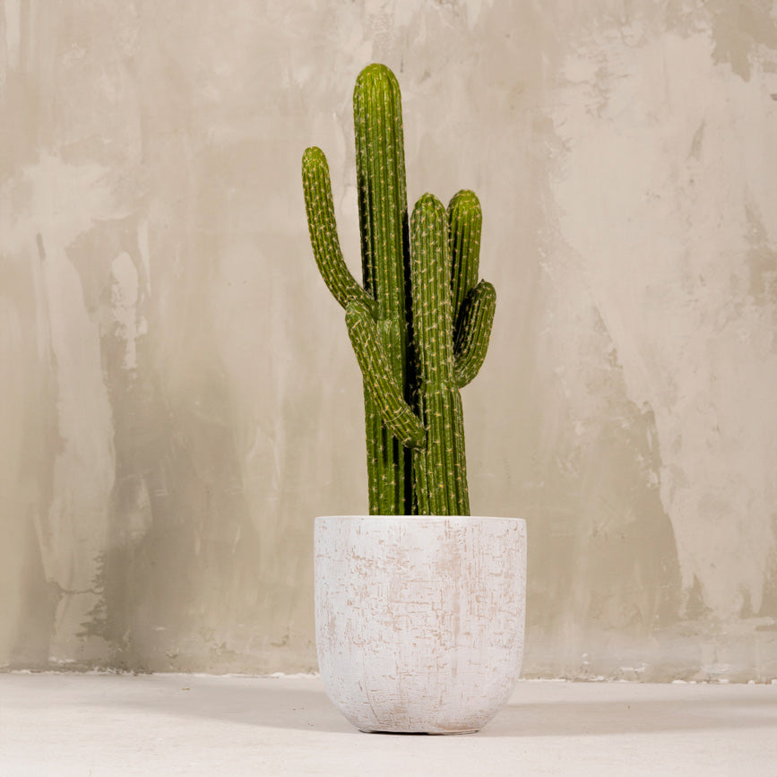 White Ceramic Pot