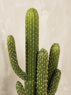 Artificial Cactus Double Plant 70cm (W/O Pot)