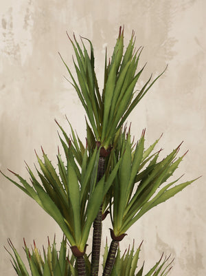 Artificial Yucca Plant with spiky leaves 110cm (W/O Pot)