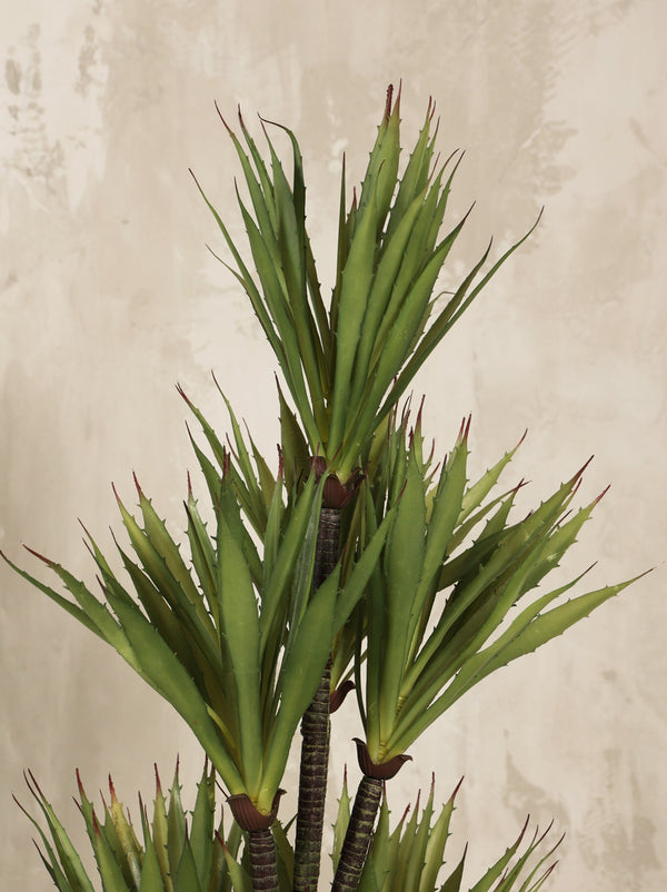 Artificial Yucca Plant with spiky leaves 110cm (W/O Pot) Ambermint.ae