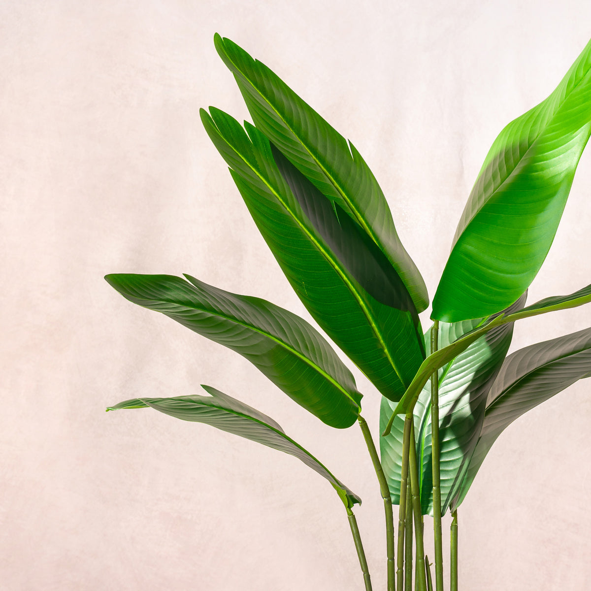 Artificial Bird Of Paradise Dark Green Foliage 120 cm (W/O pot)