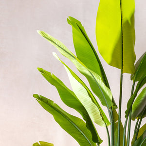 Artificial Bird Of Paradise  (W/O pot)