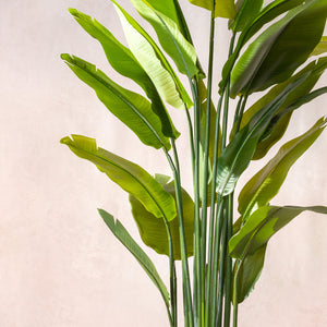 Artificial Bird Of Paradise  (W/O pot)