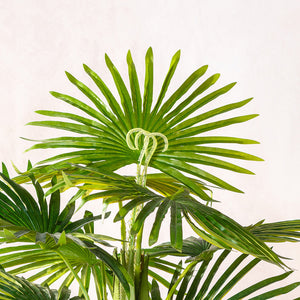 Artificial Fan Palm Tree 100cm (W/O pot)