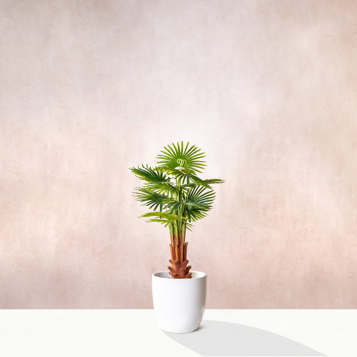 Artificial Fan Palm Tree 100cm (W/O pot)