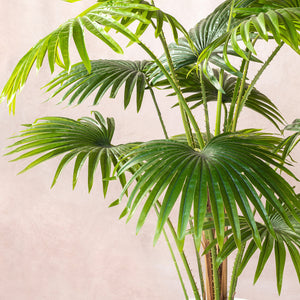 Artificial Fan Palm Tree 120cm (W/O pot)