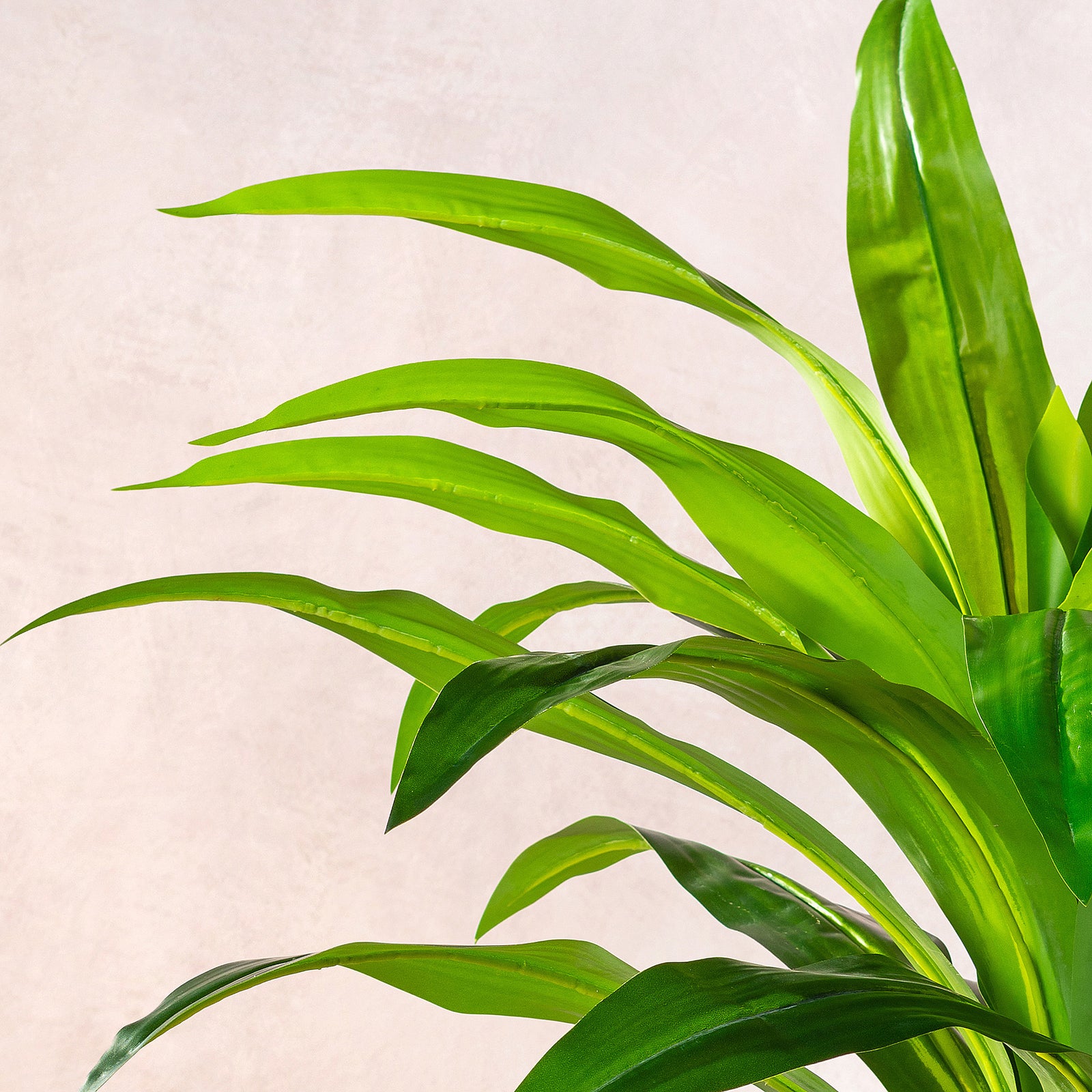 Artificial  Dracaena Fragrans Tree 100cm (W/O pot)