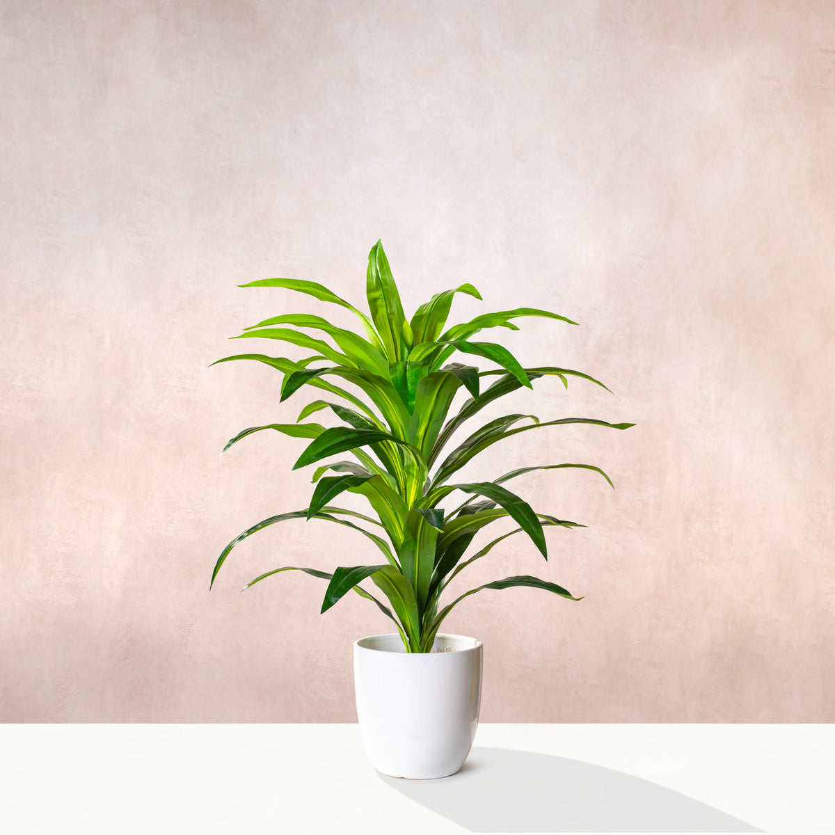 Artificial  Dracaena Fragrans Tree 100cm (W/O pot)