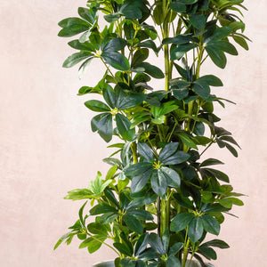 Artificial  Schefflera Tree W/O Pot