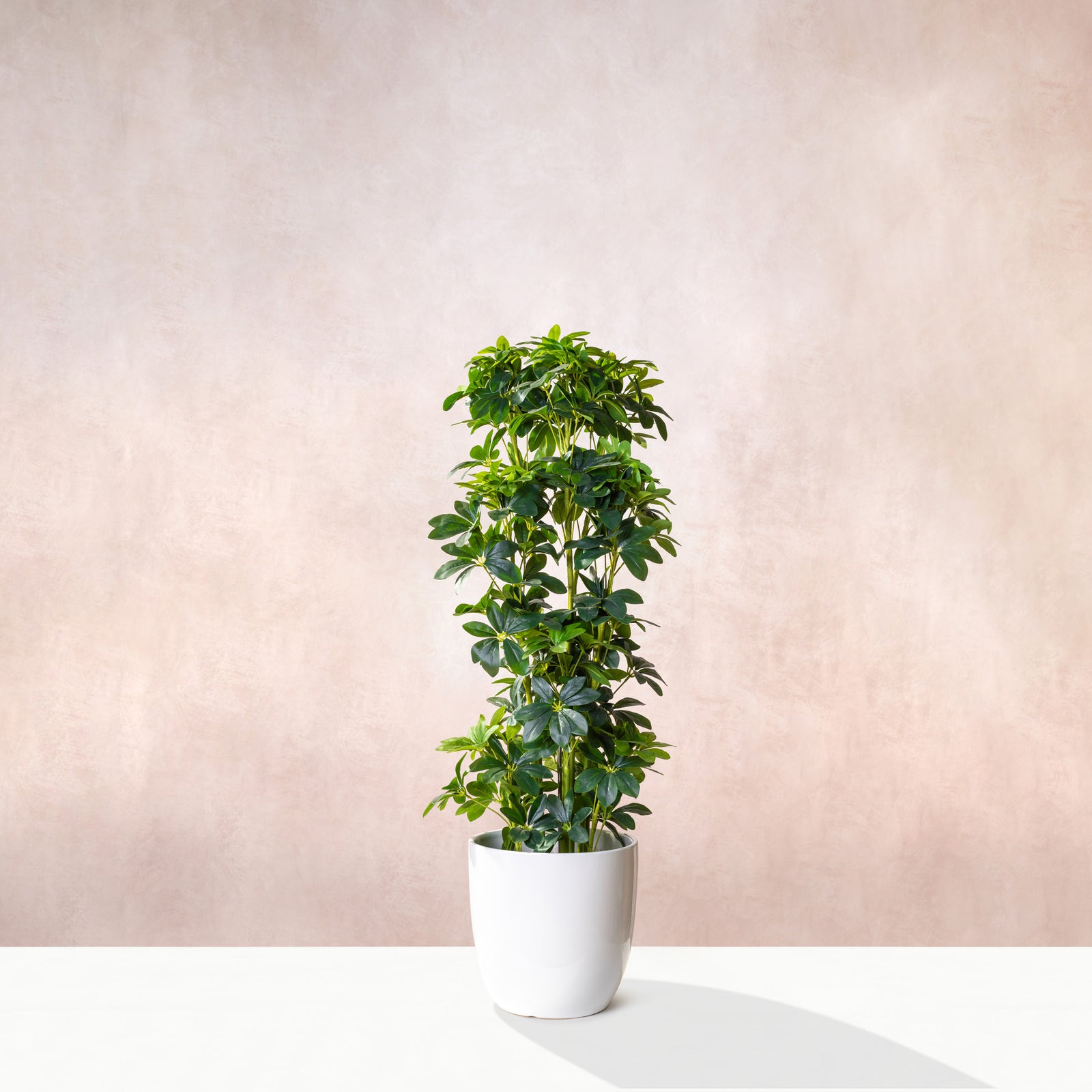 Artificial  Schefflera Tree W/O Pot