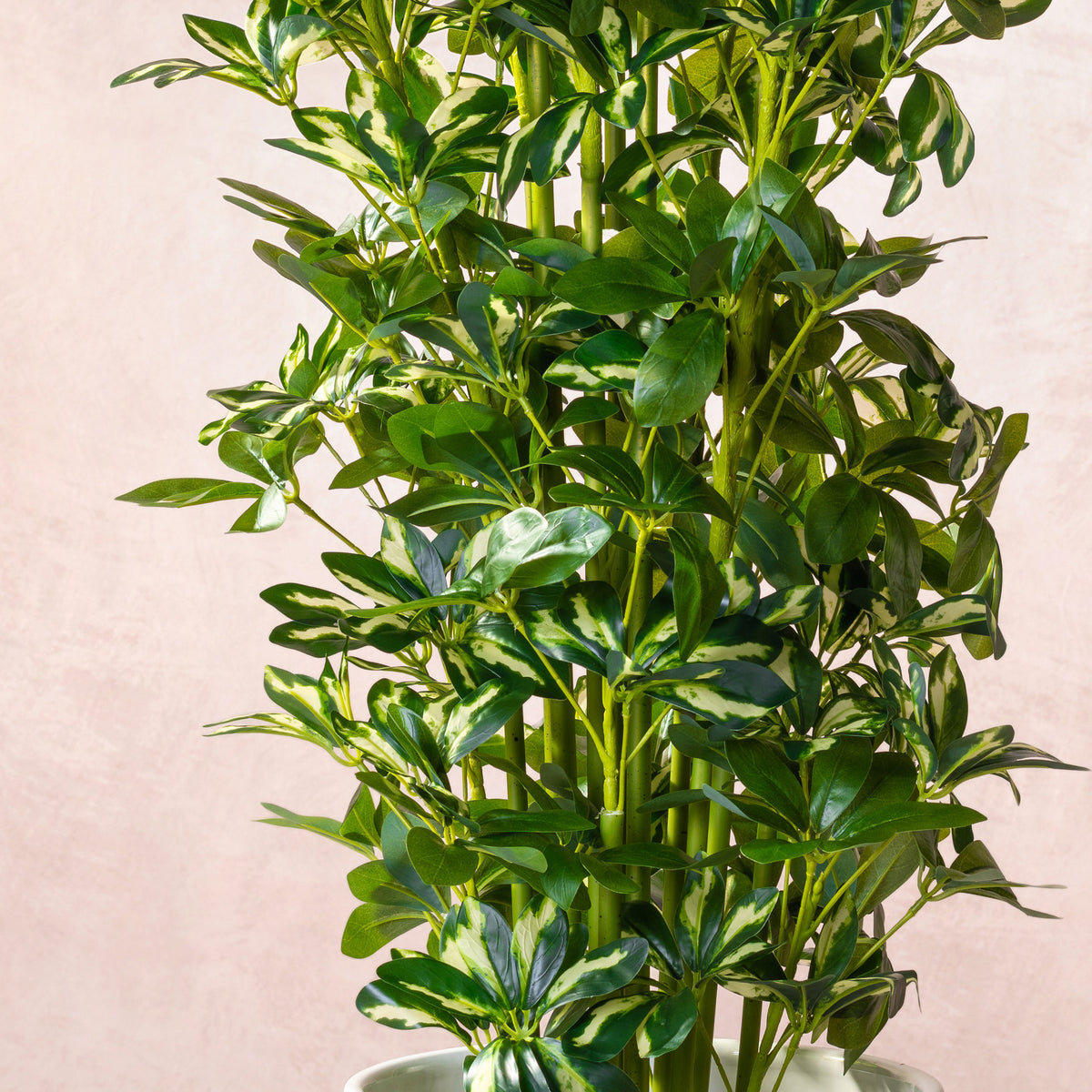 Artificial Variegated Schefflera Plant  (W/O Pot)