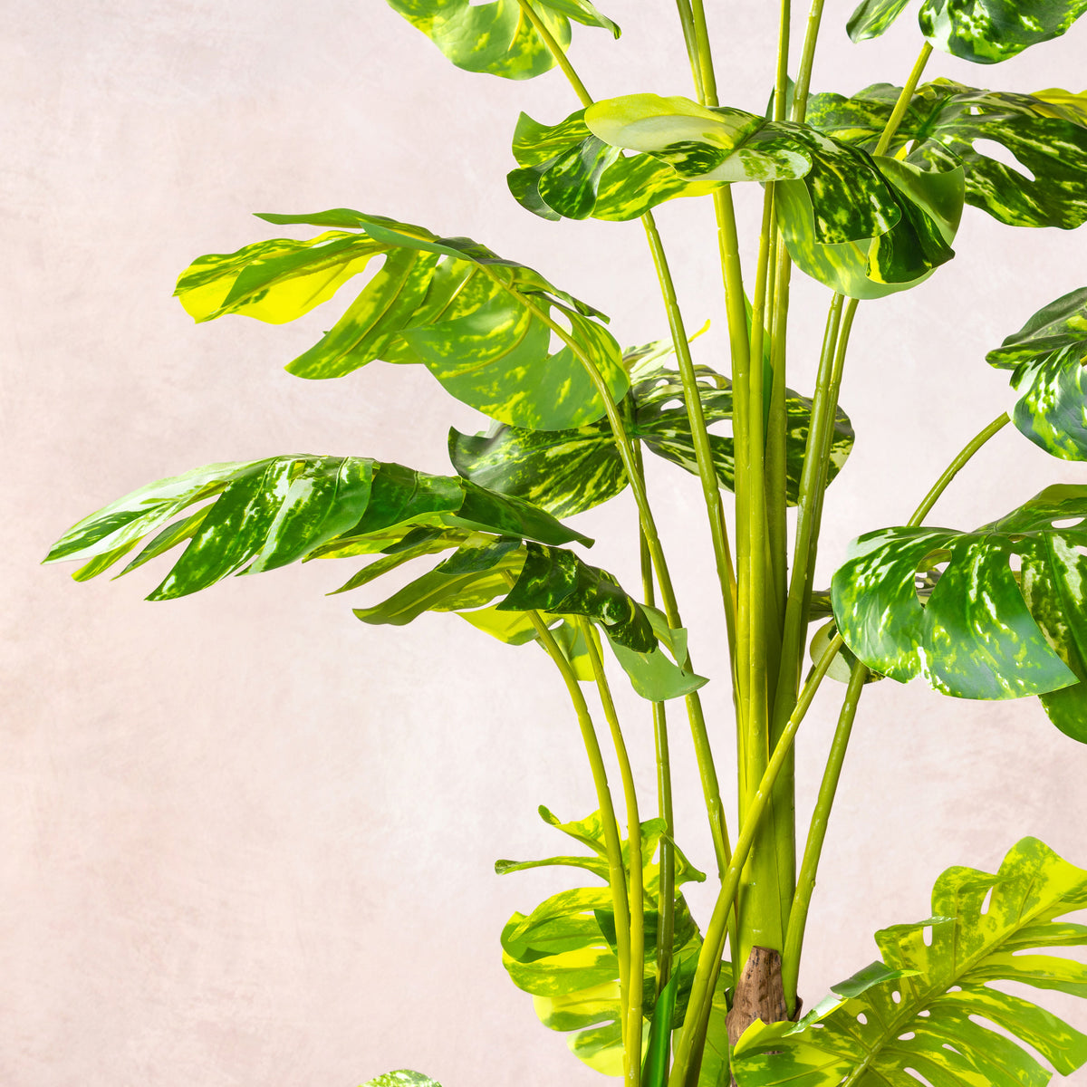 Artificial Variegated Monstera Tree (W/O pot)