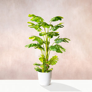 Artificial Variegated Monstera Tree (W/O pot)