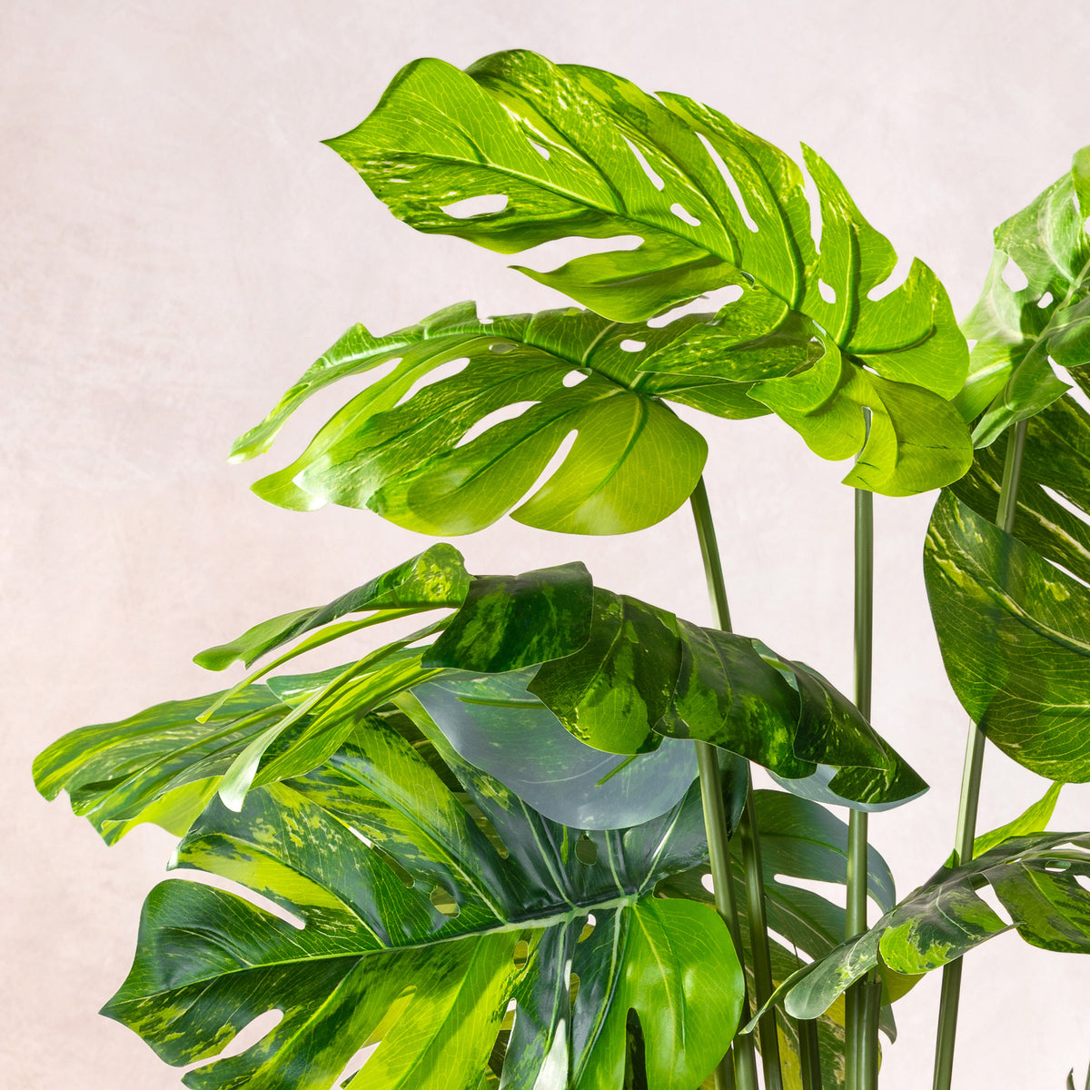 Artificial Variegated Monstera Tree 150cm (W/O pot)