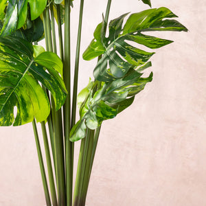 Artificial Variegated Monstera Tree 150cm (W/O pot)