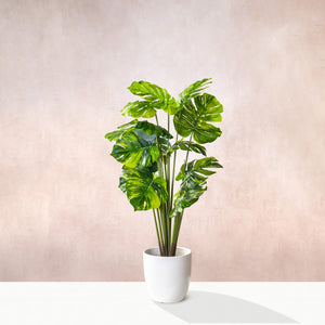 Artificial Variegated Monstera Tree 150cm (W/O pot)