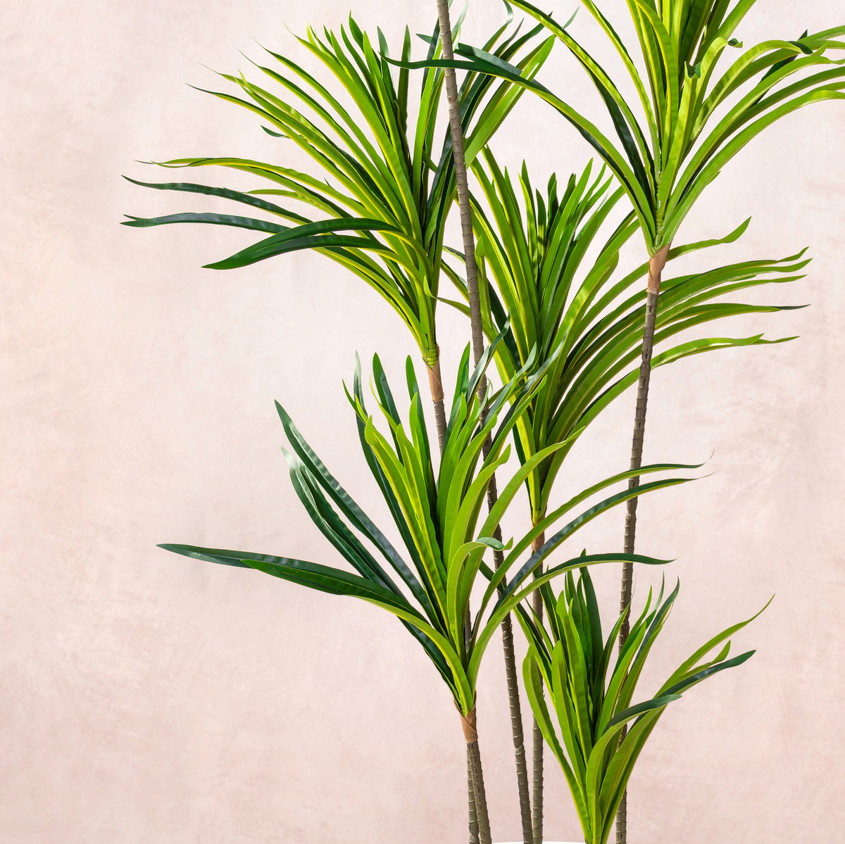 Artificial Dracaena Marginata Tree 150cm (W/O) pot