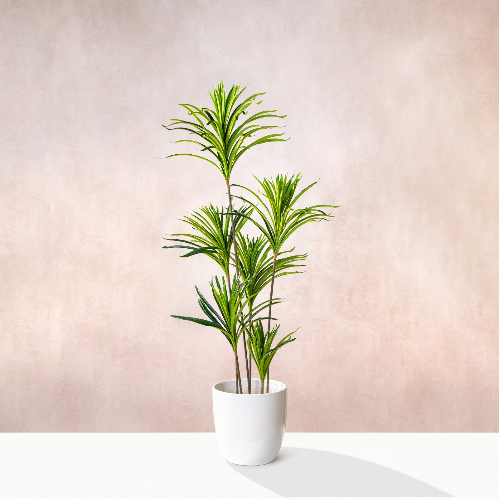 Artificial Dracaena Marginata Tree 150cm (W/O) pot