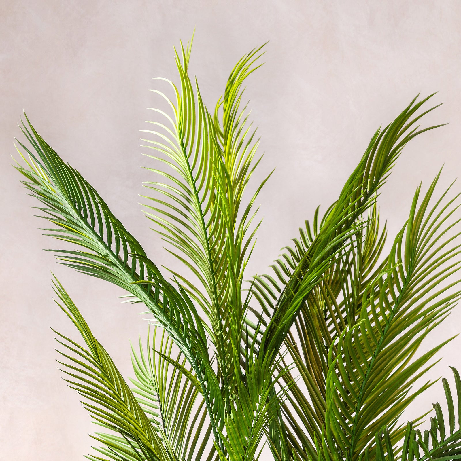 Artificial Areca Palm Tree 180cm - Tanned Cane (W/O pot)