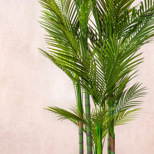 Artificial Areca Palm Tree 180cm - Tanned Cane (W/O pot)