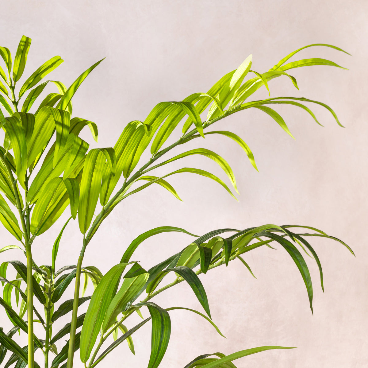 Artificial Kentia Palm Tree (W/O pot)