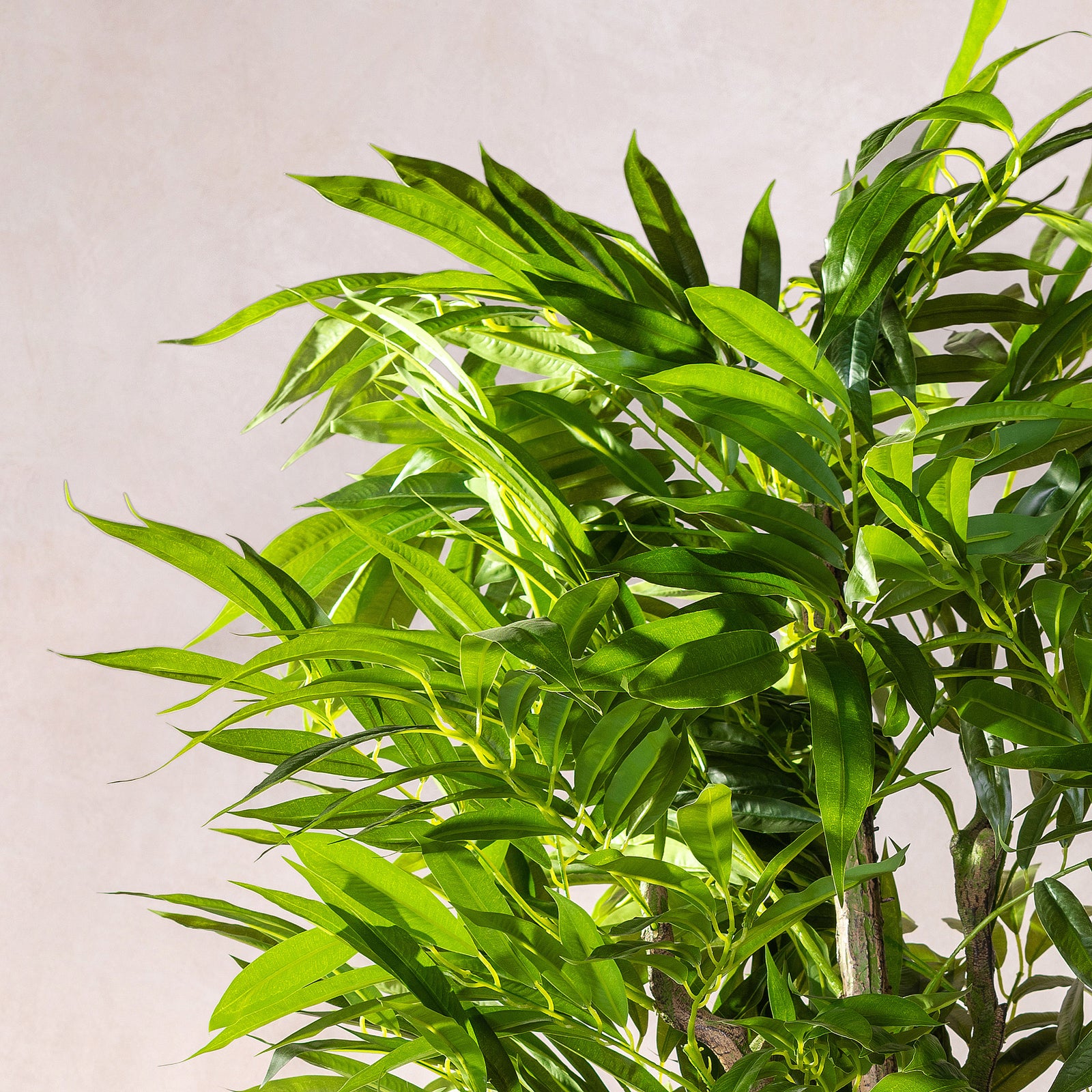 Artificial Dracaena Reflexa Tree 170cm (W/O pot)