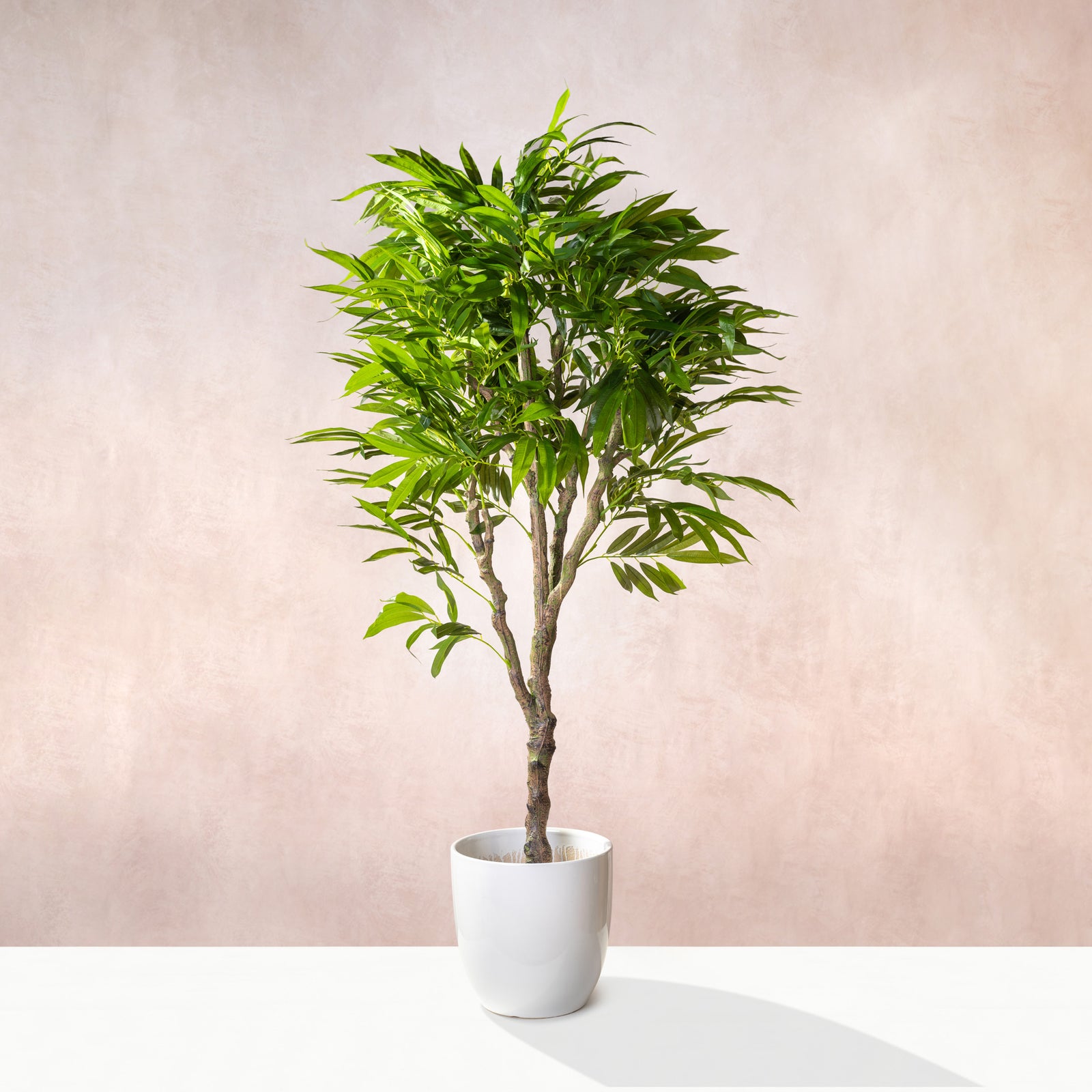 Artificial Dracaena Reflexa Tree 170cm (W/O pot)