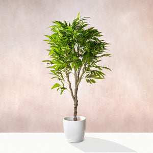Artificial Dracaena Reflexa Tree 170cm (W/O pot)