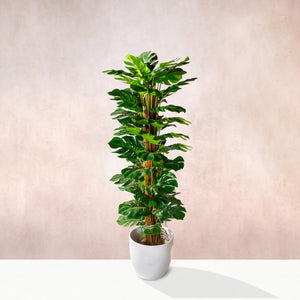 Artificial Tall Monstera Plant